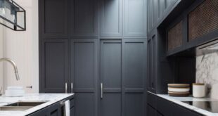 Contemporary Kitchen Cabinets