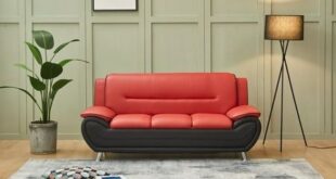 Contemporary Red Leather Sofa Set