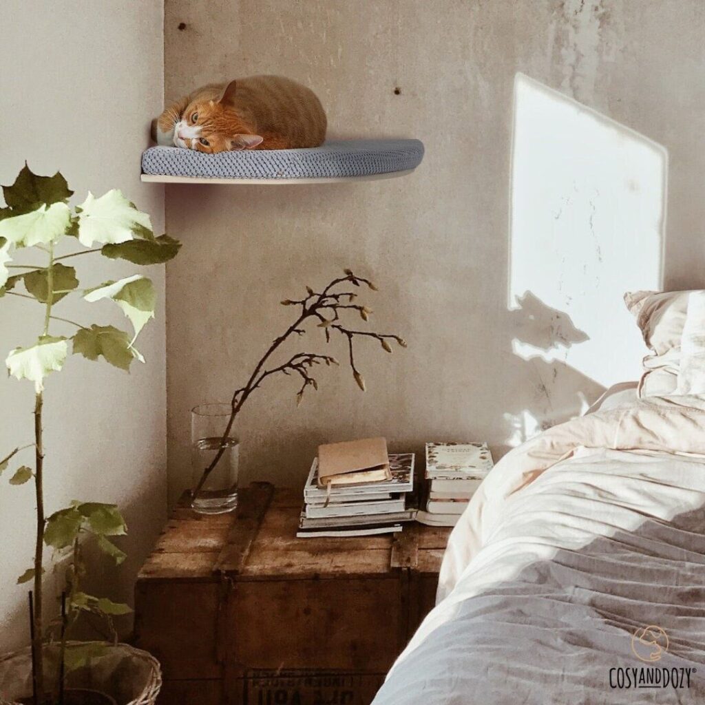 Decorative Cat Wall Shelves