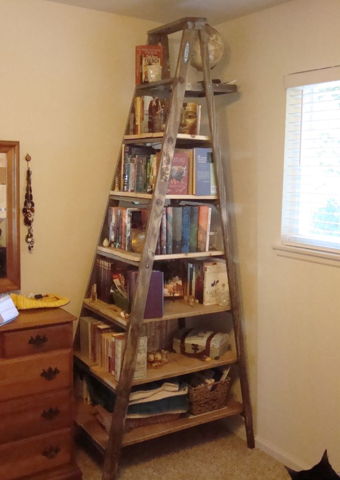 The Versatile Appeal of Wood Leaning Ladder Bookcases