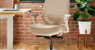 Best Ergonomic Desk Chairs