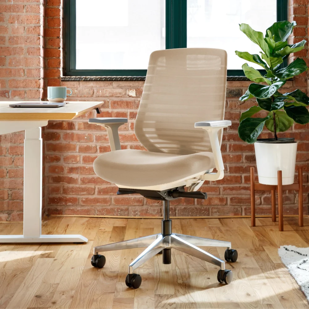 Best Ergonomic Desk Chairs