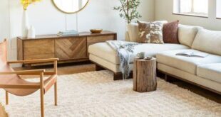 Best Area Rugs For Living Room