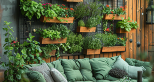 Back Deck Decorating Ideas