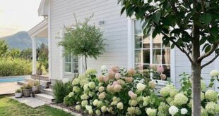 Simple Landscape Ideas For Front Of House